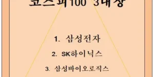 코스피100 3대장